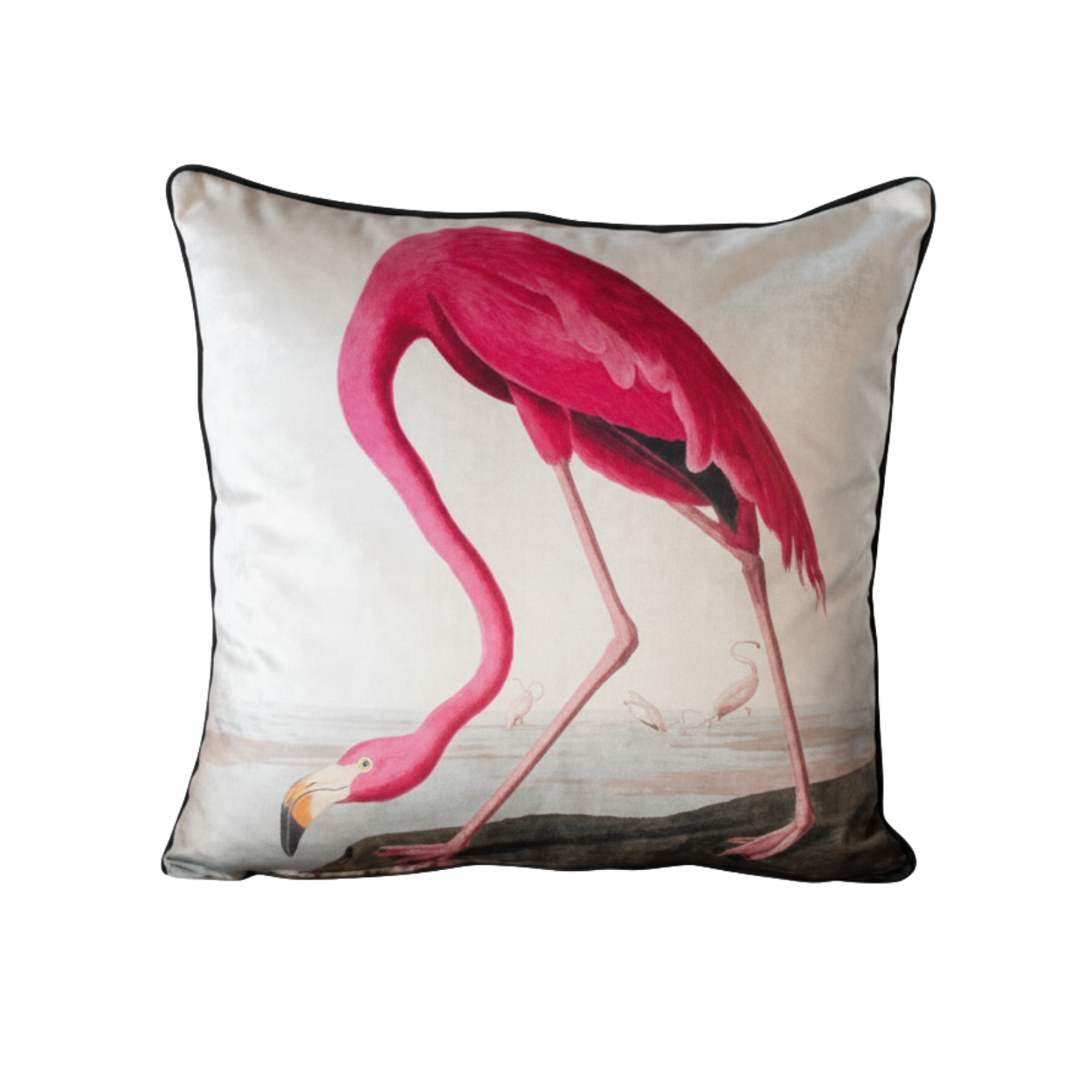 Vintage Birds - American Flamingo Velvet Cushion - 60 x 60