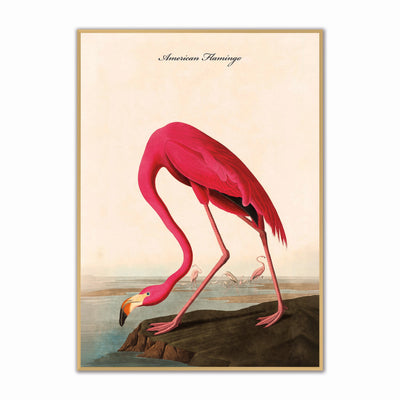 Vintage Birds Velvet Canvas Framed Art