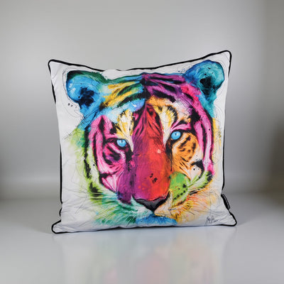 Artists Cushions