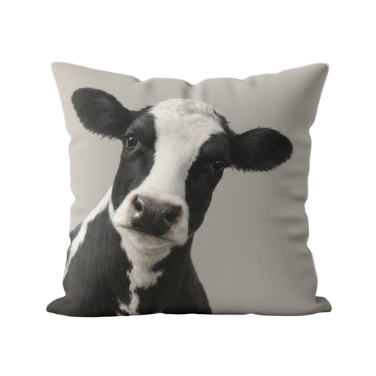 Curious Cow Velvet Cushion - 60 x 60