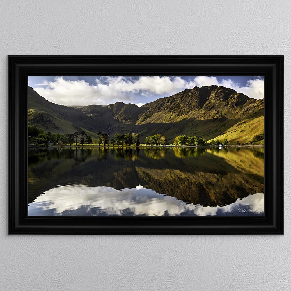 Buttermere Pines At First Light Framed Wall Art