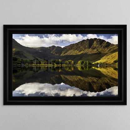 Buttermere Pines At First Light Framed Wall Art