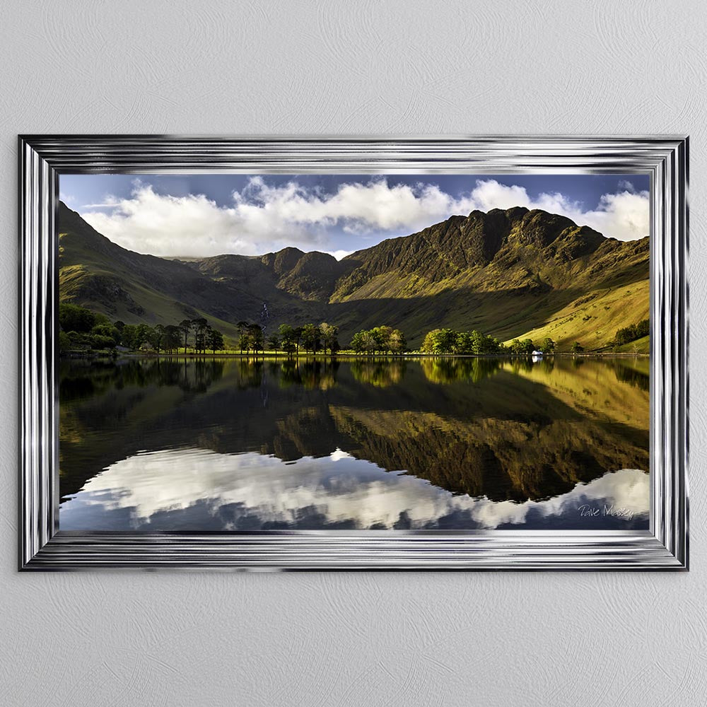 Buttermere Pines At First Light Framed Wall Art