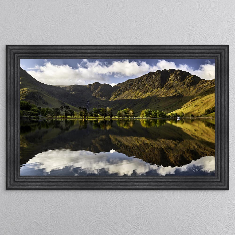 Buttermere Pines At First Light Framed Wall Art
