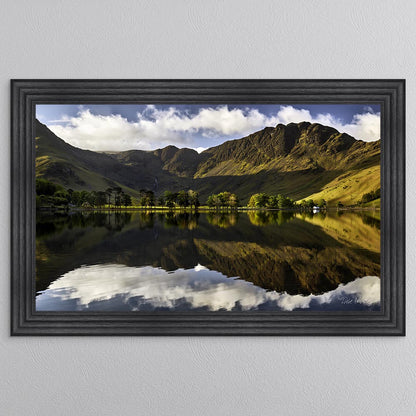 Buttermere Pines At First Light Framed Wall Art