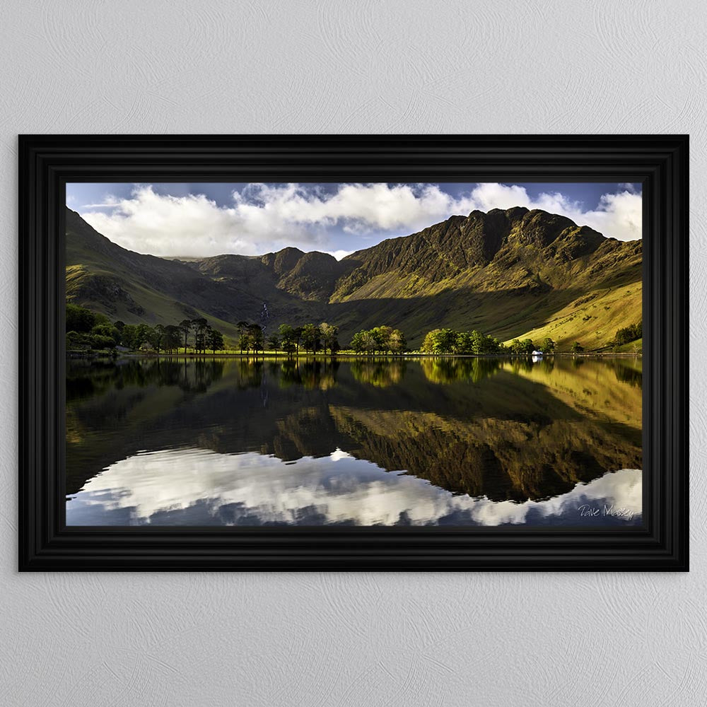 Buttermere Pines At First Light Framed Wall Art