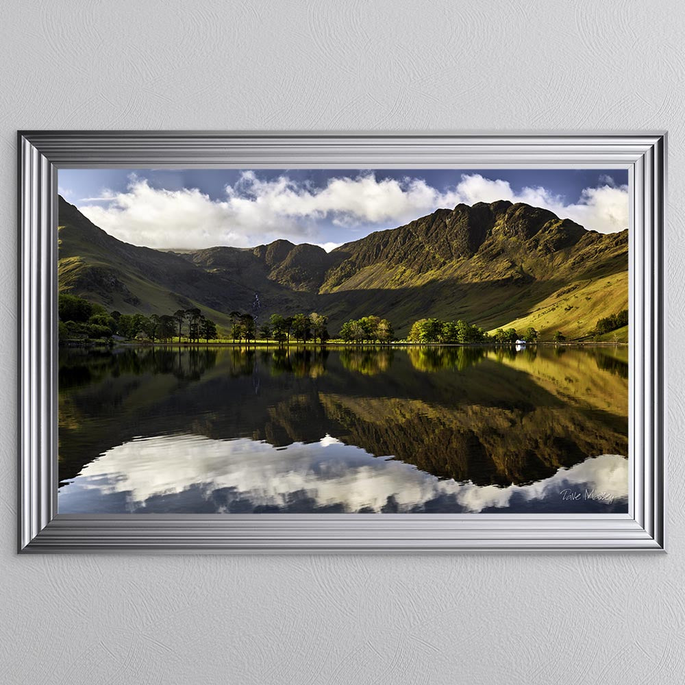 Buttermere Pines At First Light Framed Wall Art