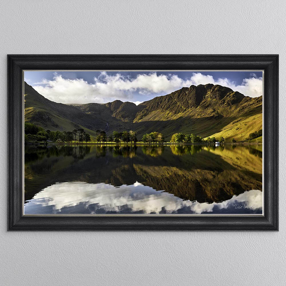 Buttermere Pines At First Light Framed Wall Art