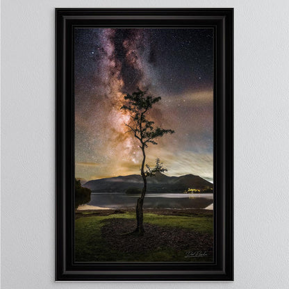 Derwentwater Tree Milky Way Framed Wall Art