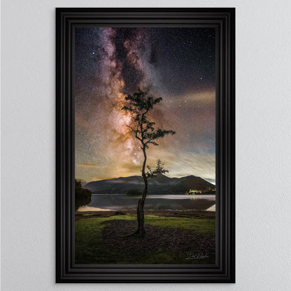 Derwentwater Tree Milky Way Framed Wall Art