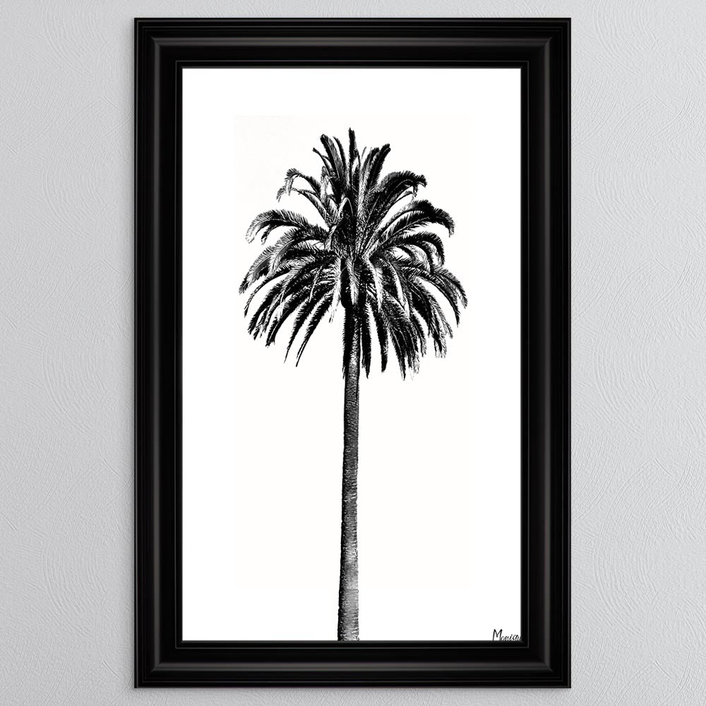 Black And White Palm Trees 3 Framed Wall Art
