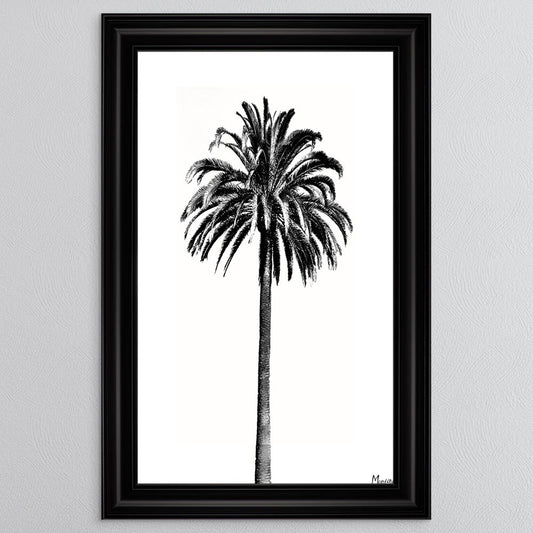 Black And White Palm Trees 3 Framed Wall Art