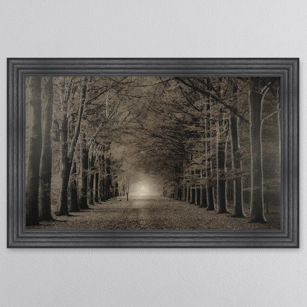 Woodland Path Framed Wall Art