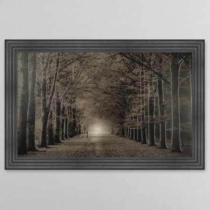 Woodland Path Framed Wall Art