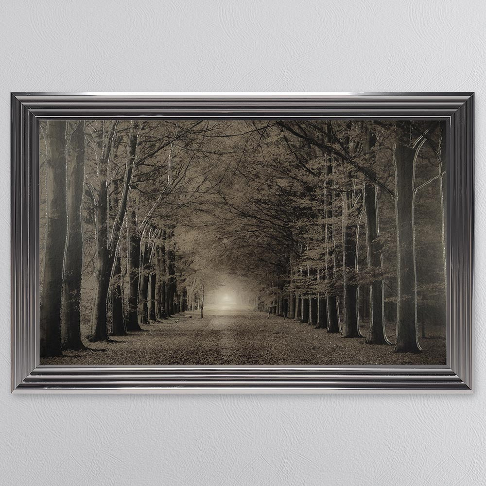 Woodland Path Framed Wall Art