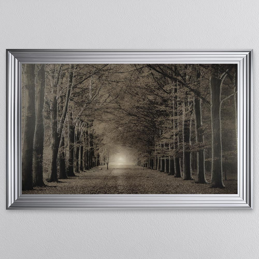 Woodland Path Framed Wall Art