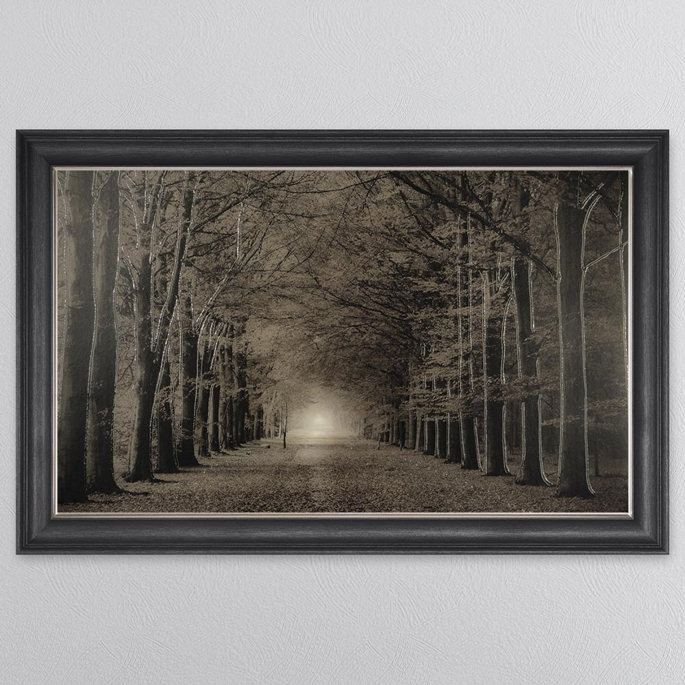 Woodland Path Framed Wall Art
