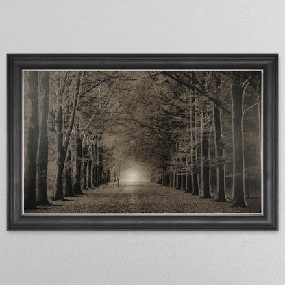Woodland Path Framed Wall Art