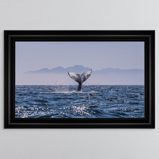 Whale Tail Framed Wall Art