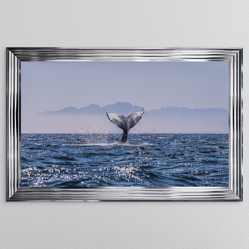 Whale Tail Framed Wall Art