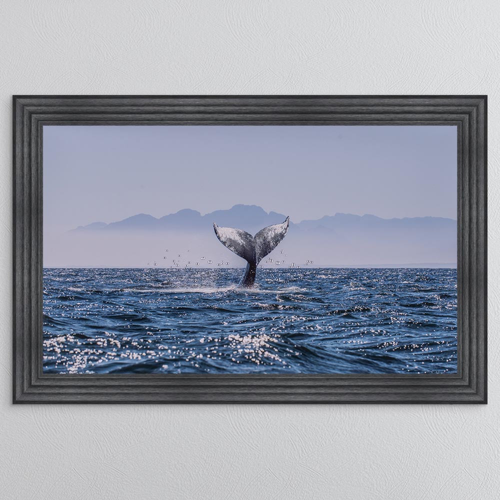 Whale Tail Framed Wall Art