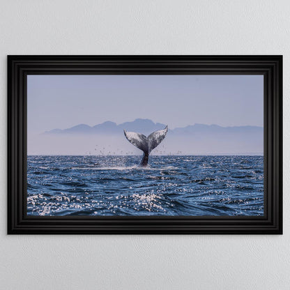 Whale Tail Framed Wall Art