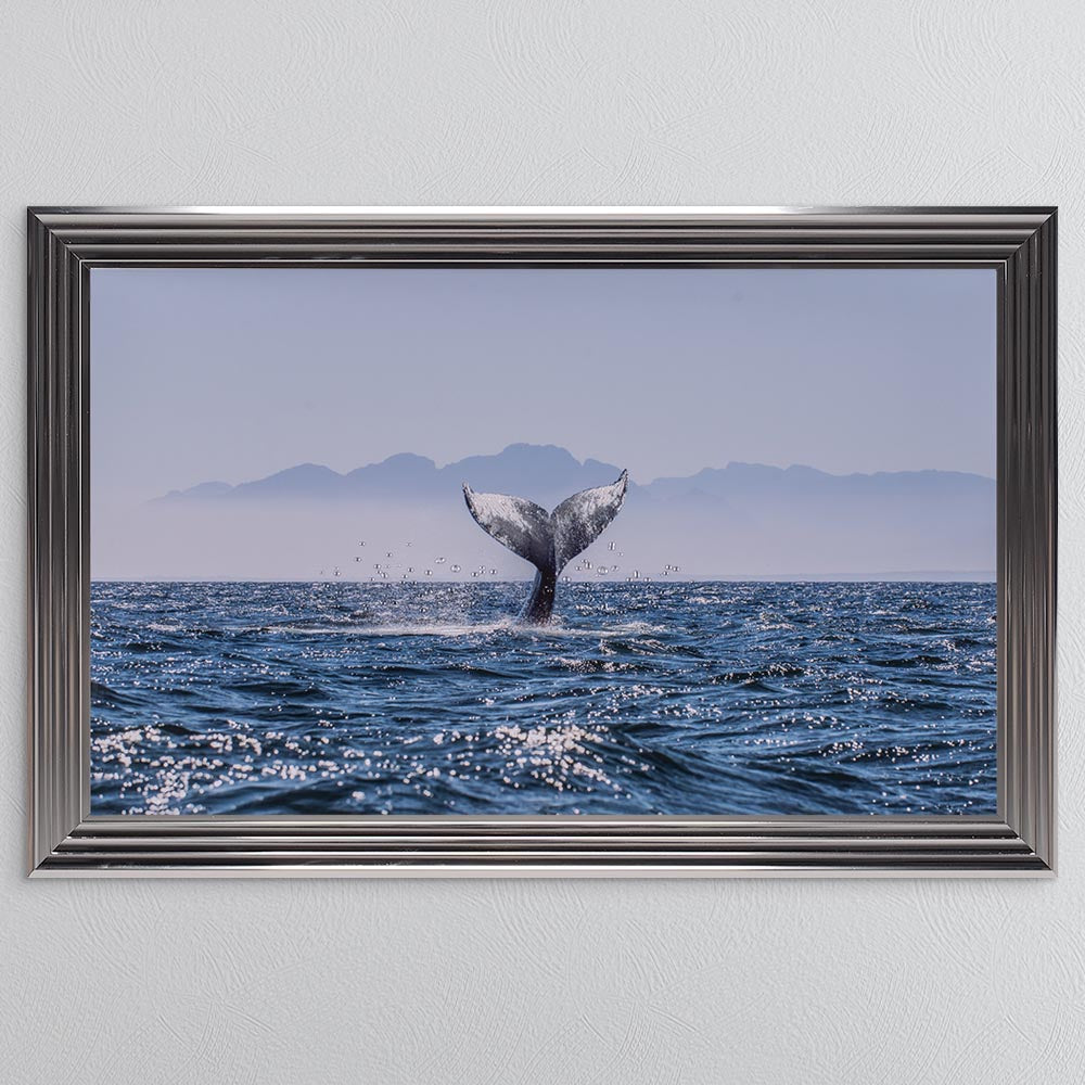 Whale Tail Framed Wall Art