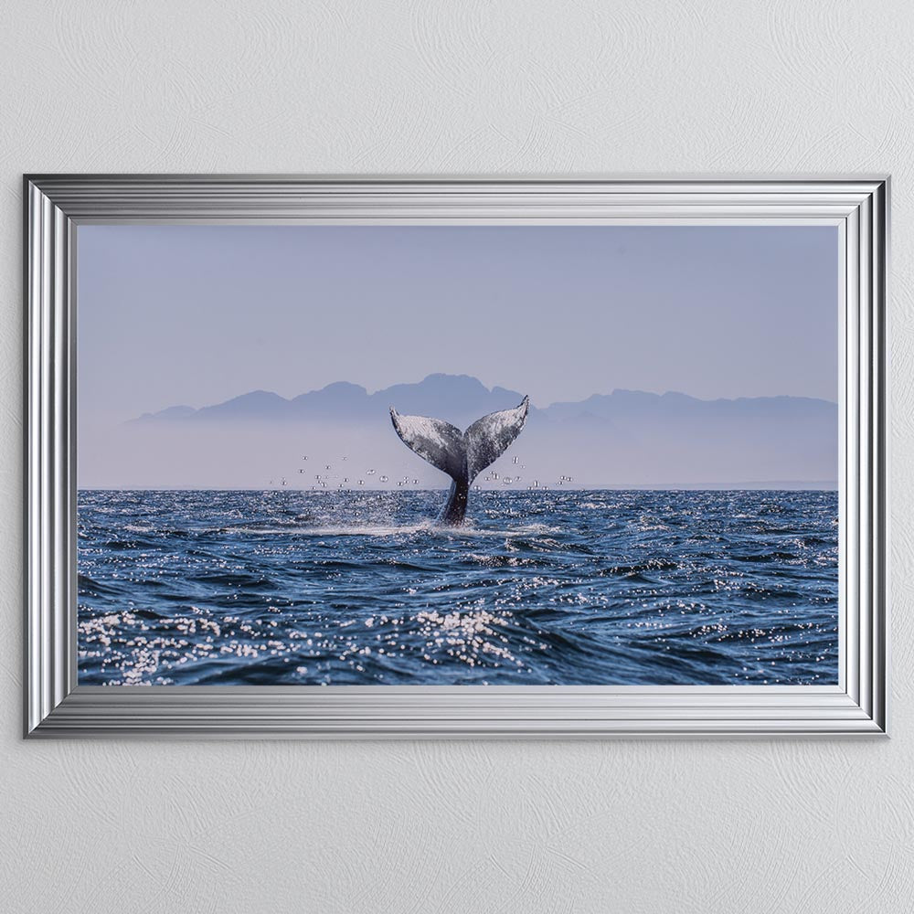 Whale Tail Framed Wall Art