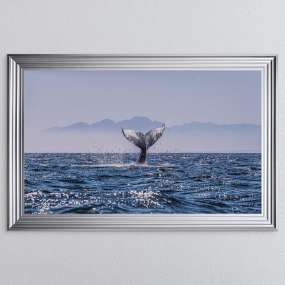 Whale Tail Framed Wall Art