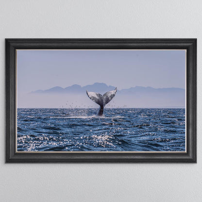 Whale Tail Framed Wall Art