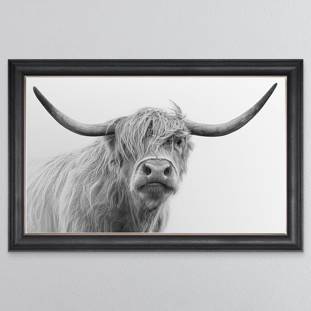 Grey And White Highland Cow Framed Wall Art