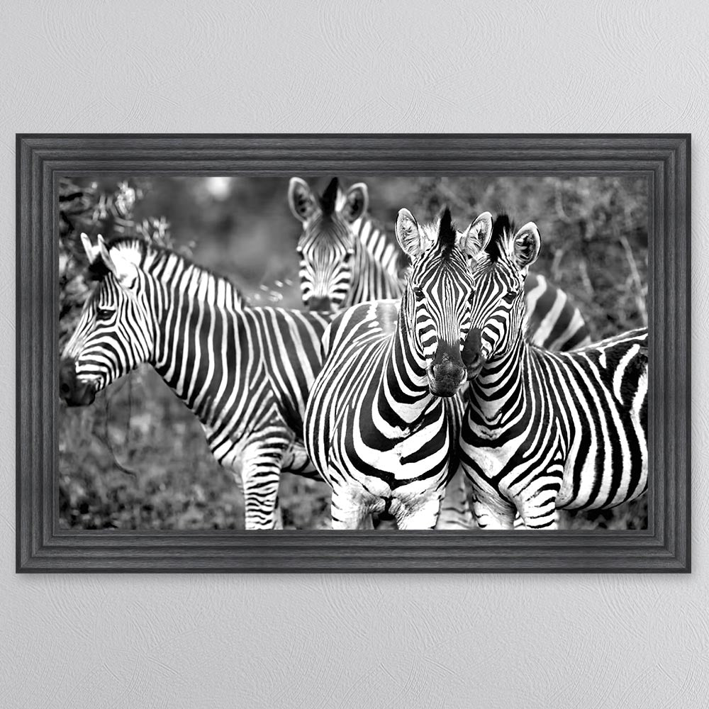 Zebras In The Wild Framed Wall Art