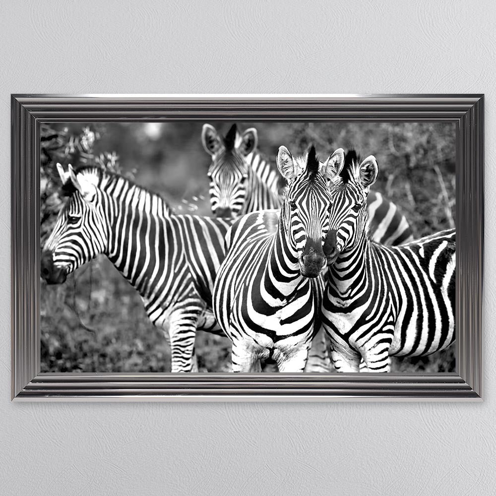 Zebras In The Wild Framed Wall Art