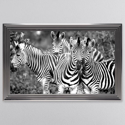 Zebras In The Wild Framed Wall Art