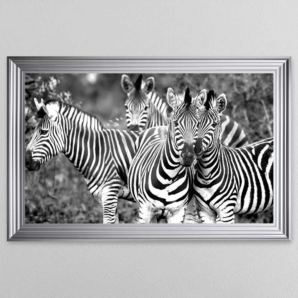 Zebras In The Wild Framed Wall Art