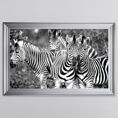 Zebras In The Wild Framed Wall Art