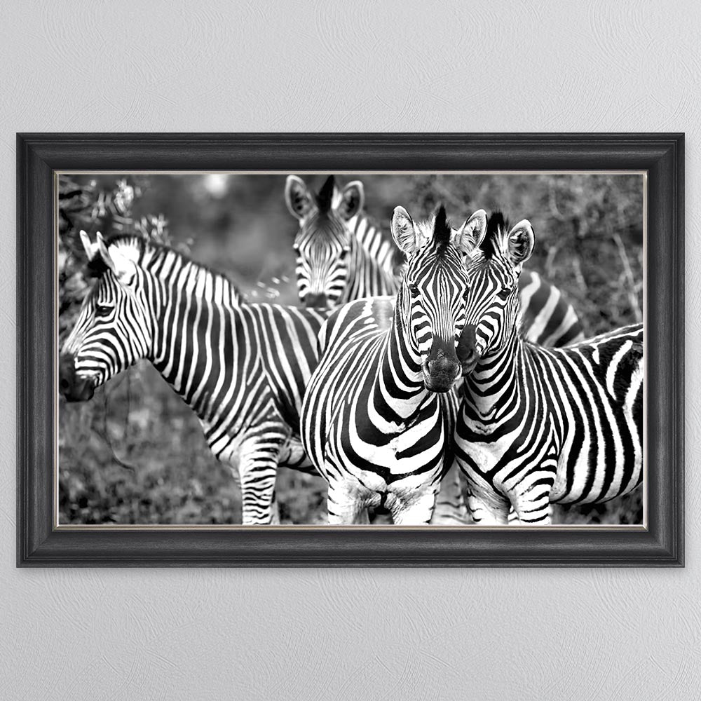 Zebras In The Wild Framed Wall Art