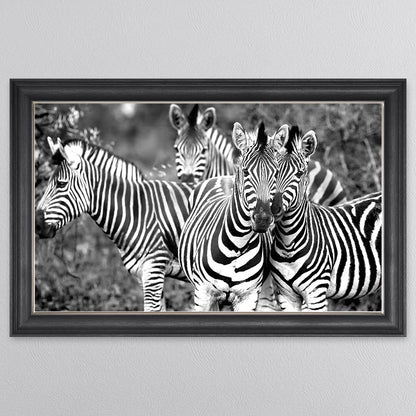 Zebras In The Wild Framed Wall Art