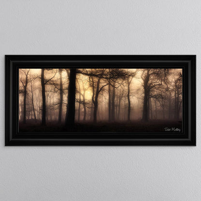 Sherwood Mist Framed Wall Art