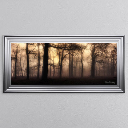 Sherwood Mist Framed Wall Art