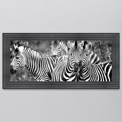 Zebras In The Wild Framed Wall Art