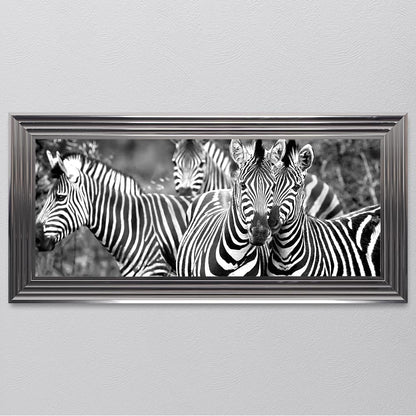 Zebras In The Wild Framed Wall Art