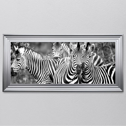 Zebras In The Wild Framed Wall Art