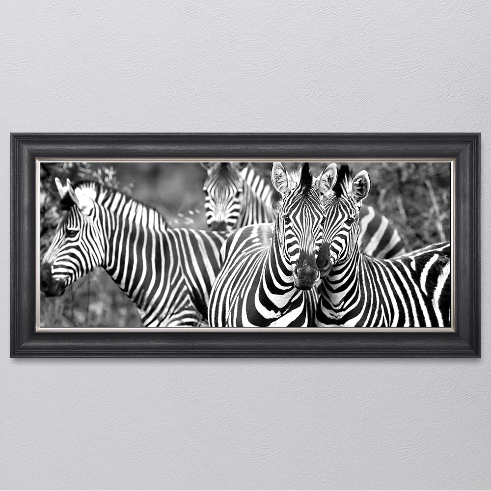Zebras In The Wild Framed Wall Art