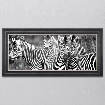 Zebras In The Wild Framed Wall Art