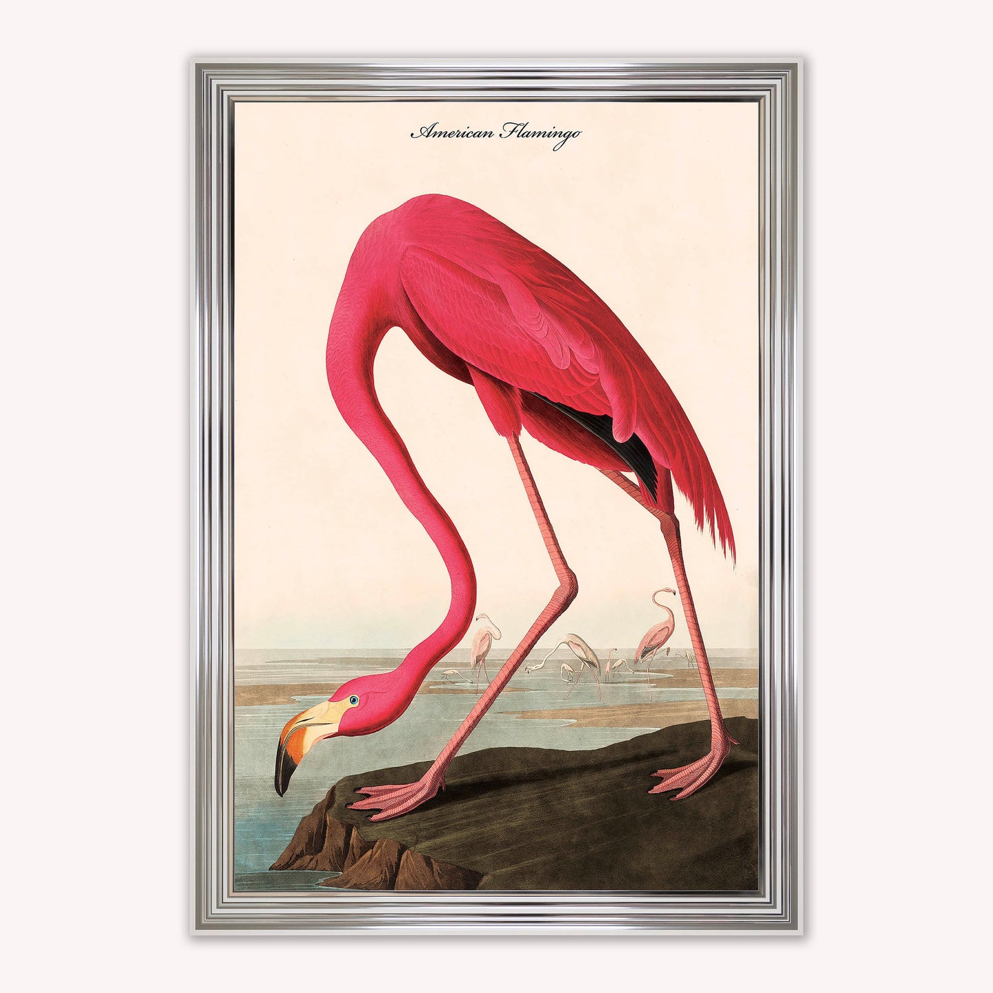 Luxury Velvet Art Print - Vintage Birds - American Flamingo Framed Wall Art