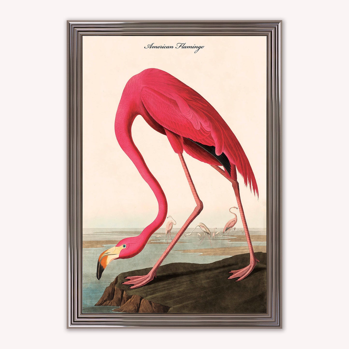 Luxury Velvet Art Print - Vintage Birds - American Flamingo Framed Wall Art