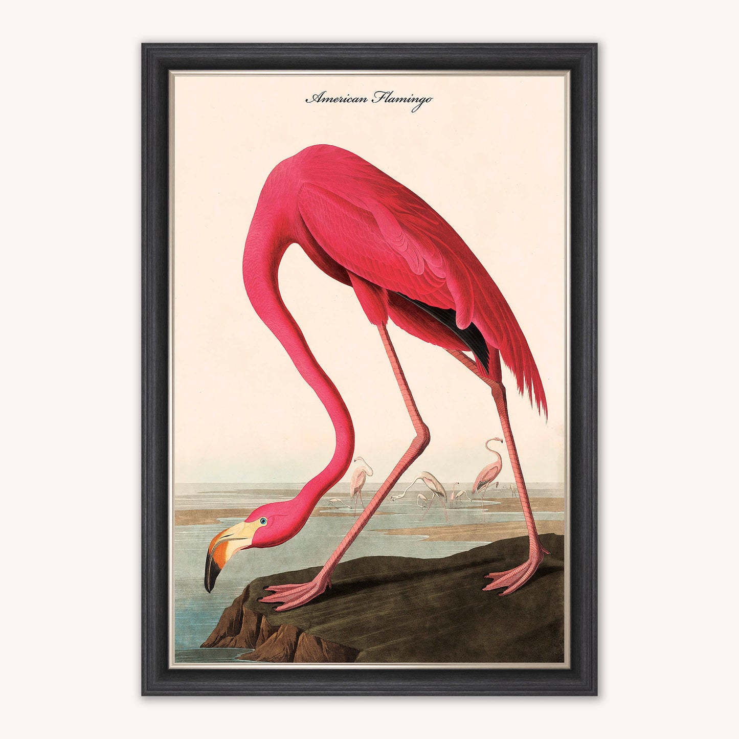 Luxury Velvet Art Print - Vintage Birds - American Flamingo Framed Wall Art