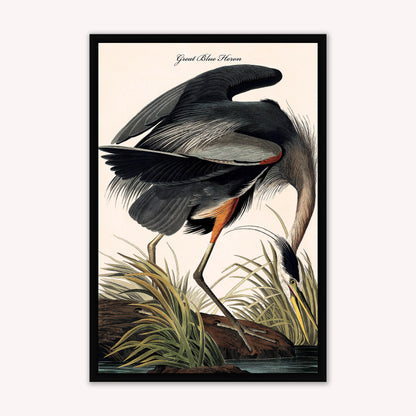 Luxury Velvet Art Print - Vintage Birds -Blue Heron Framed Wall Art