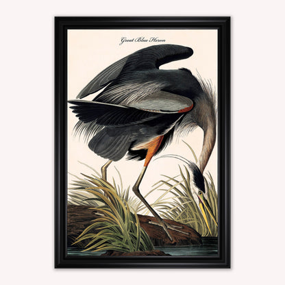 Luxury Velvet Art Print - Vintage Birds -Blue Heron Framed Wall Art
